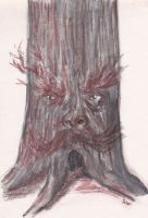 Father Tree